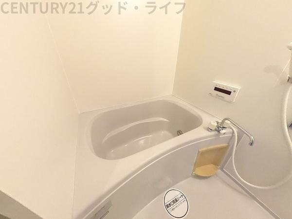 ミレニアムX