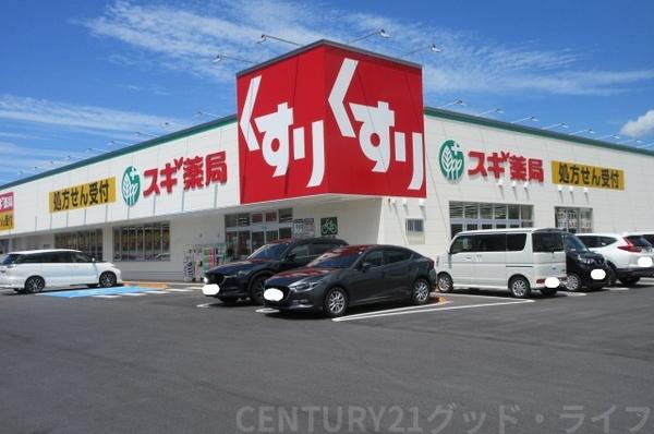 ニューコーポシミズ(スギドラッグ長浜南店)