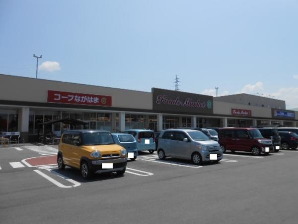 ユキ・シンクラ
