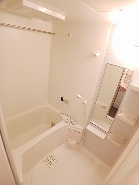 エヴァーグレイス(バス)