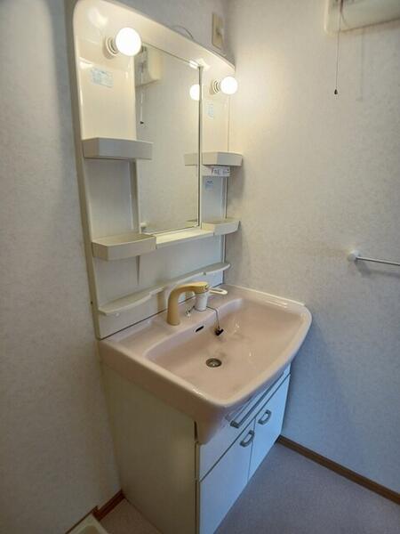 エクセレンテ パラーシオ(洗面台・洗面所)