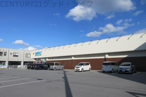 Euphoria(GENKY米原駅西店)