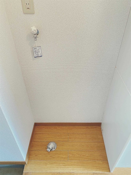 アクト七日町