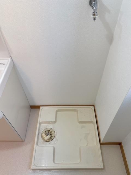 パセオプラシード