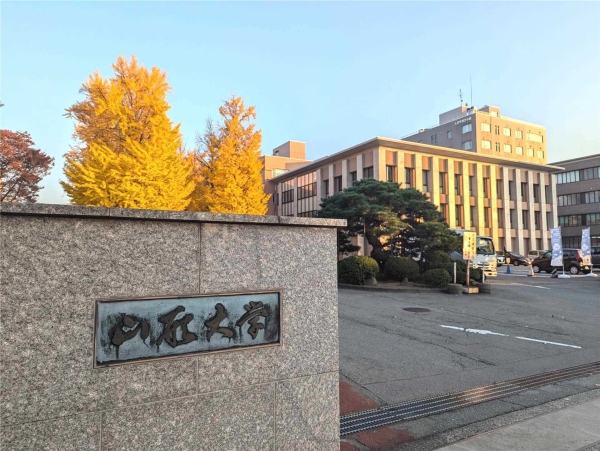 エヴァーグリーン(国立山形大学)