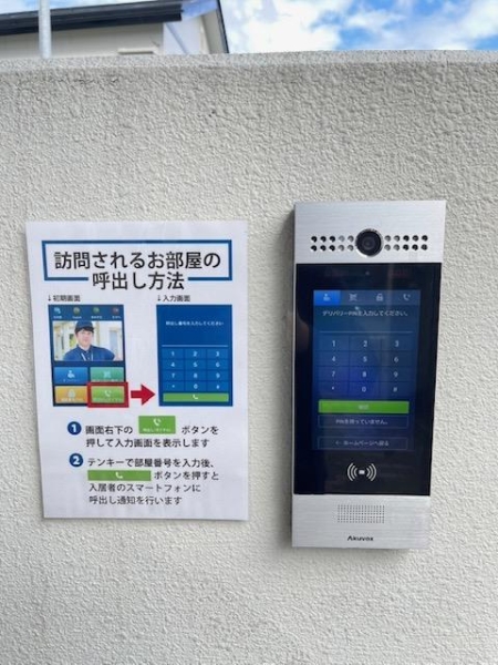 エヴァーグリーン