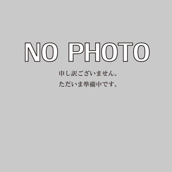 アイビースクエアー東青田(サンデー白山店)