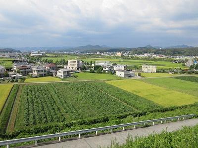 ビューハウス天神2番館