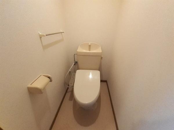 サンカルティエ