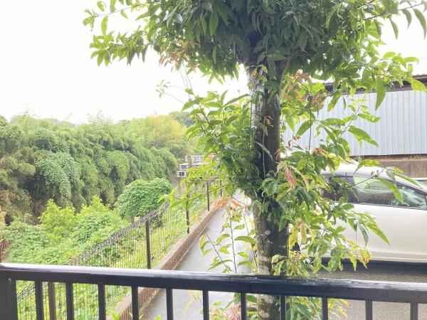 ヴェルジェ