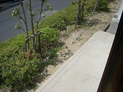 西浦ハイエリーナ