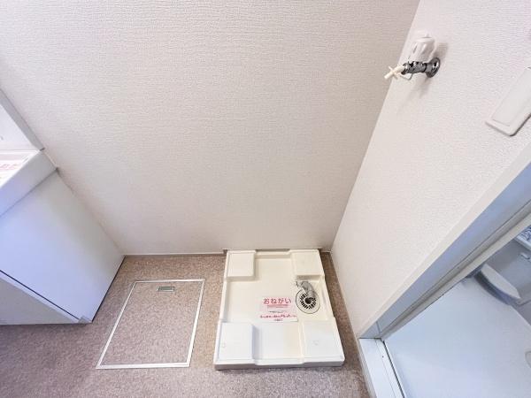 ヴィオラＫⅡ