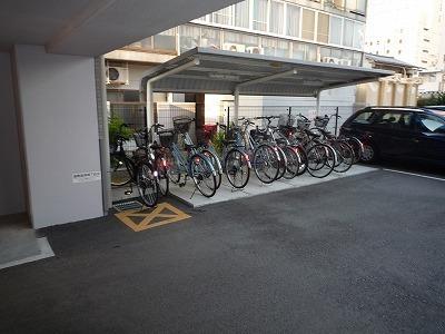 ヴェルドミール