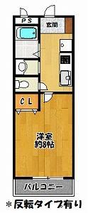 サンフローラ藤原