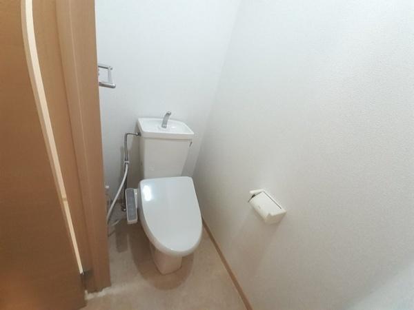 セリエコート
