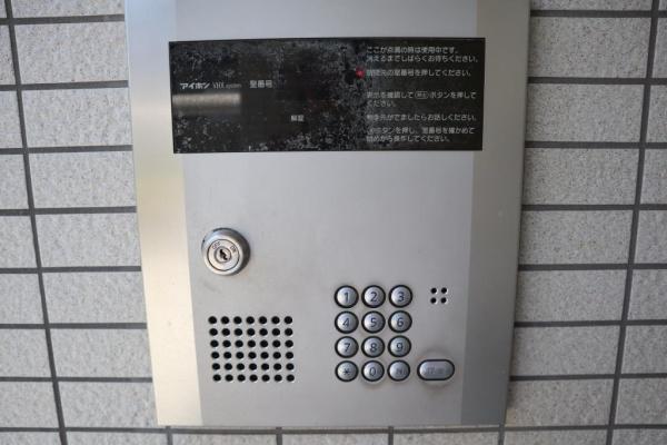 ヴェルドミール