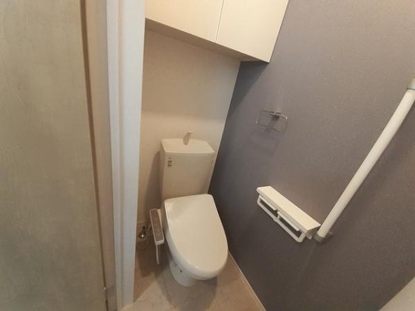 ザ・ビレッジグリーン山口町Ⅱ(トイレ)