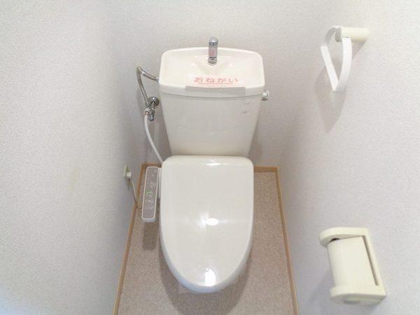 シュロスアリノ