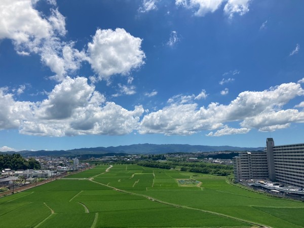 ピアシティ三田(現地からの眺望)