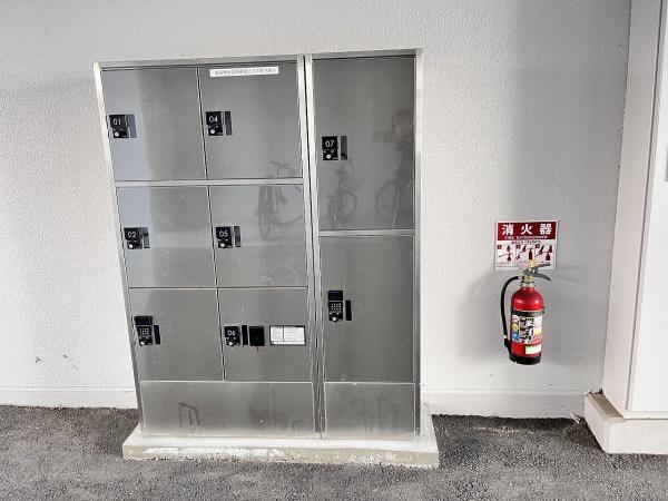 ヴェルドミール
