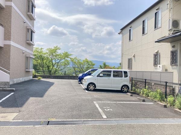 ＦｏｒｅｖｅｒＨｉｌｌ　VⅡ