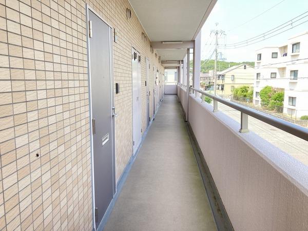 ＦｏｒｅｖｅｒＨｉｌｌ　VⅡ