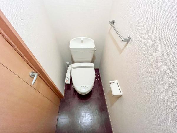 ステラセッテ