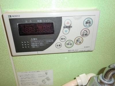 プリムローズひばり