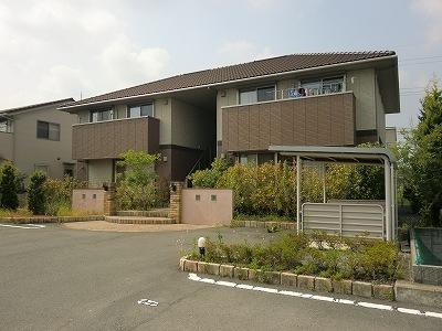 プリムローズひばり