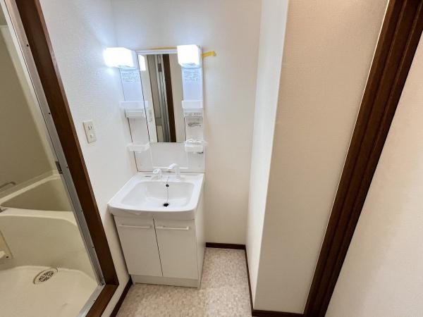 メゾンイワサカ(洗面台・洗面所)