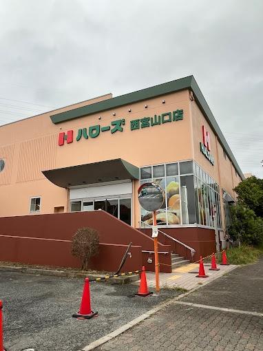 ダイヤモンドヘッド(ハローズ西宮山口店)