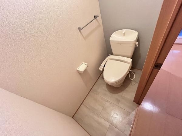 ステラセッテ