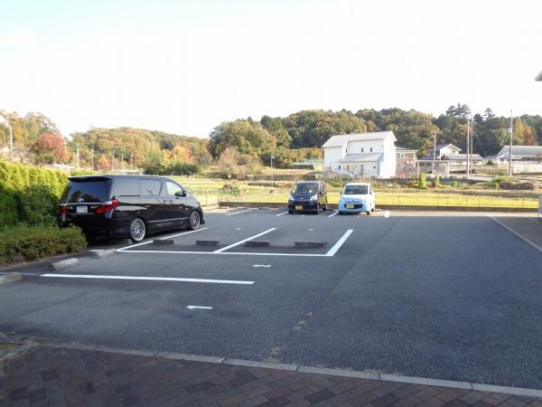 ステラセッテ