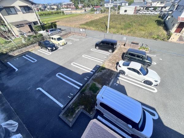 グリーンフォレスト