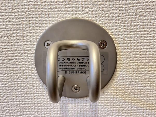 グランディオーズ　オナダ