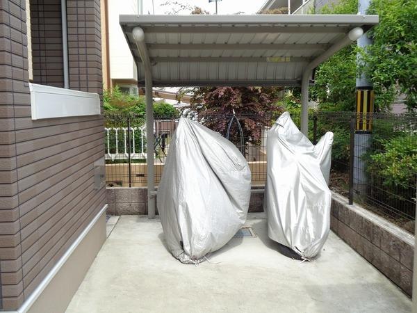 カレンデュラ