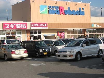 フレイヴァーパークⅠ(スーパーマルハチ三田店)