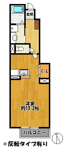 シーズコート