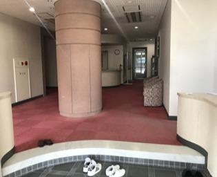 ミニヨン吉川