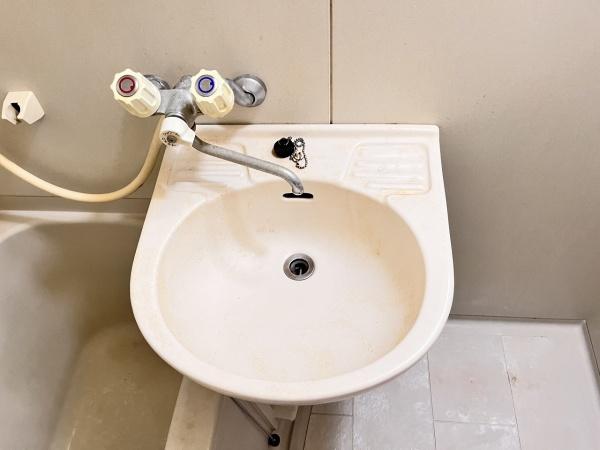 アパートメントTS(洗面台・洗面所)