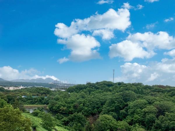 クレストコートあかしあ