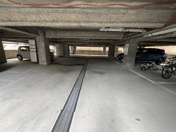 エクセレント・コタニ