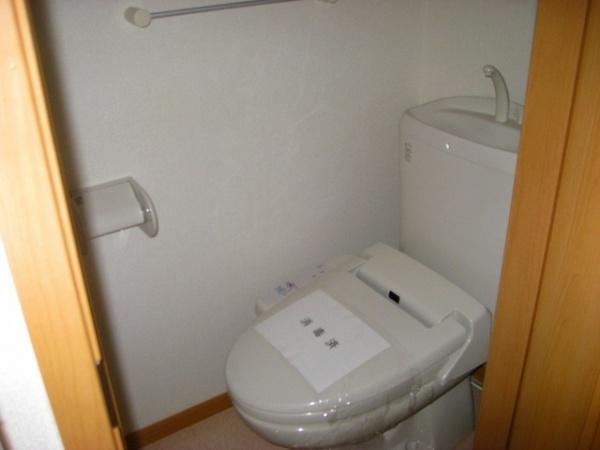 サンカルティエ大我