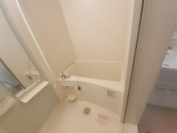 サンカルティエ大我