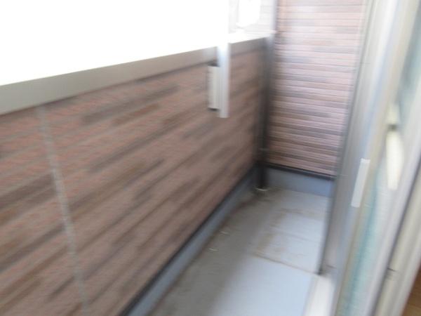 サンカルティエ大我