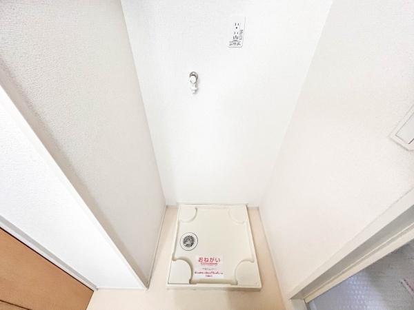 カトレア