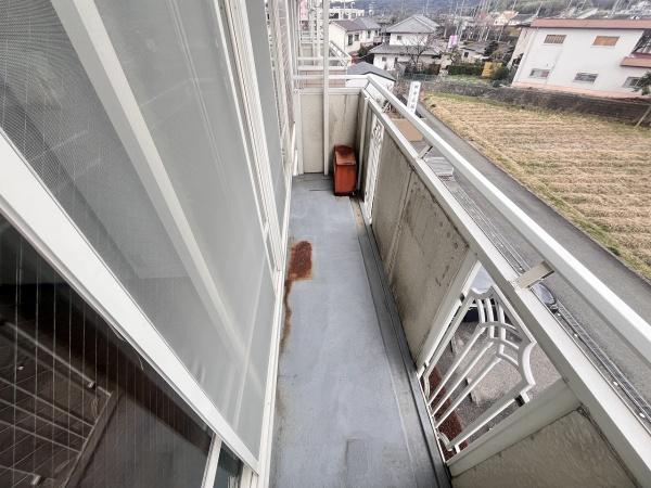 サウスⅡ