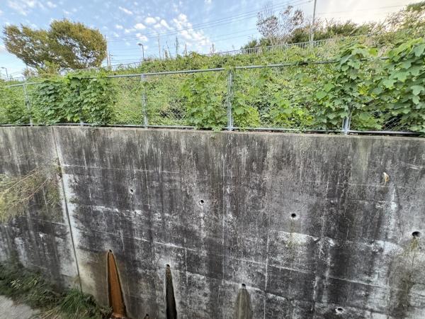 エクシエⅢ