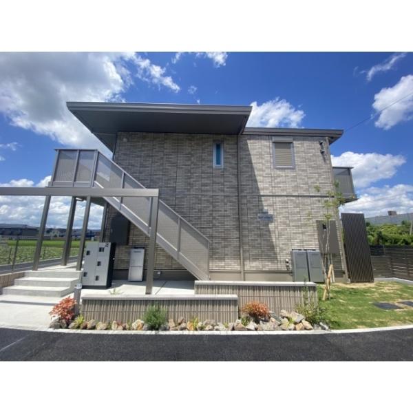 Belleville杉