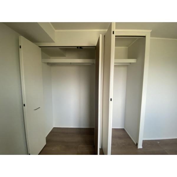 Belleville杉